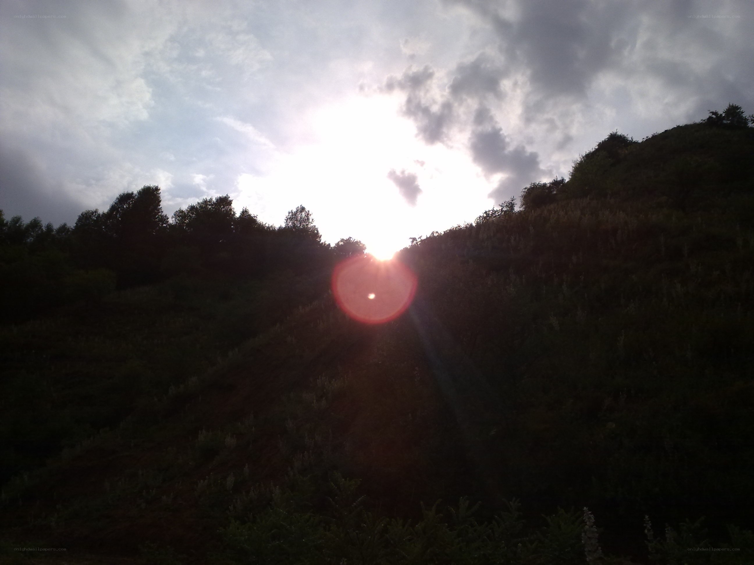 Sunset over a forested hill