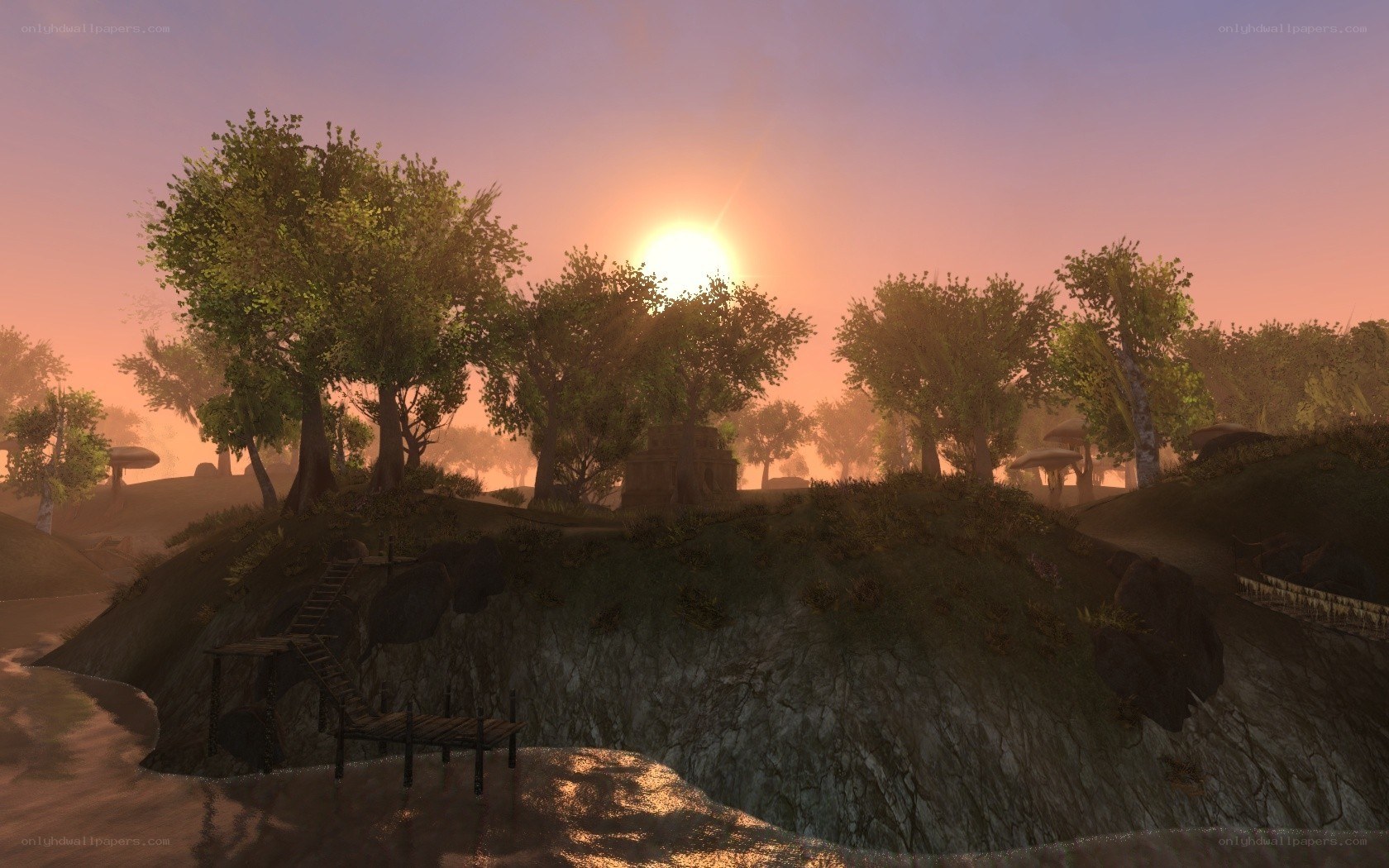 sunset over a forested hill