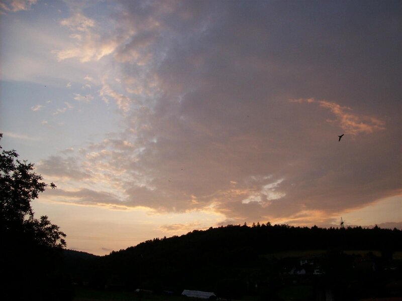 sunset over a forested hill