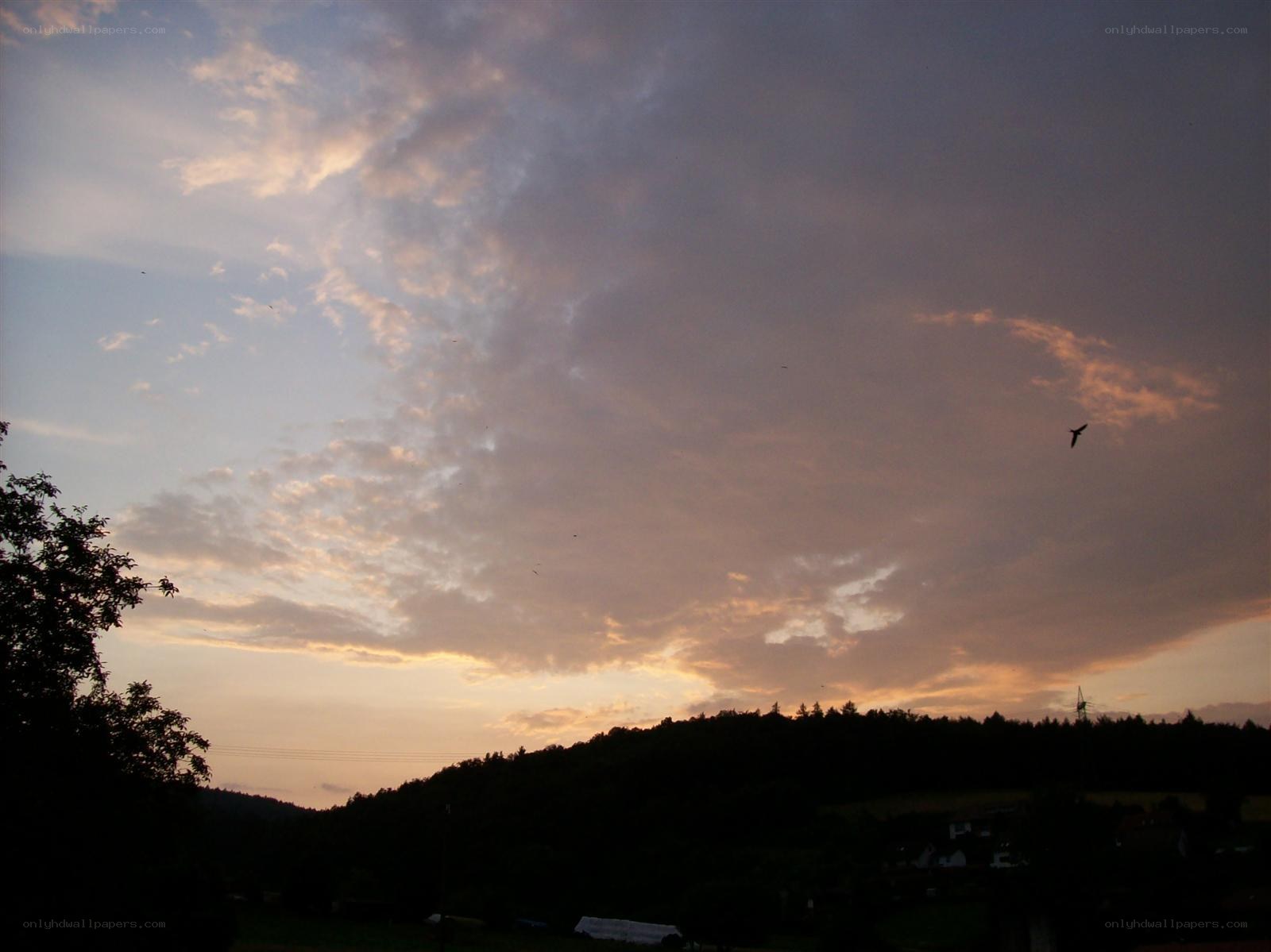 sunset over a forested hill