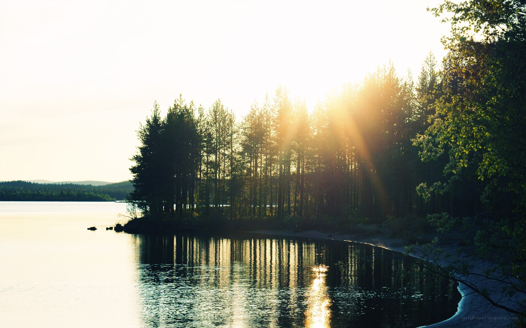 Sunset over a forested lake