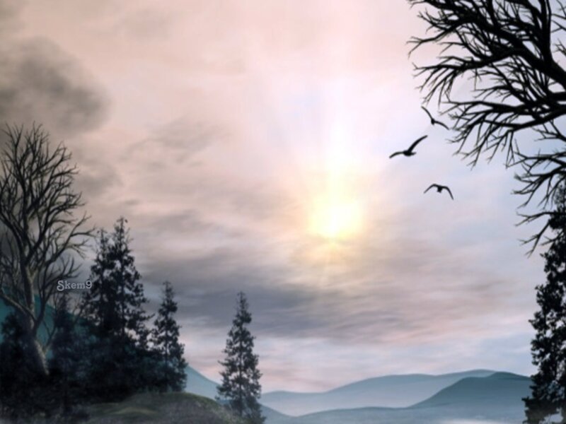 Sunset over a forested landscape