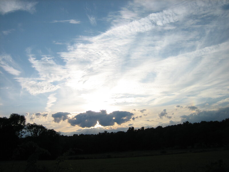 Sunset over a forested landscape