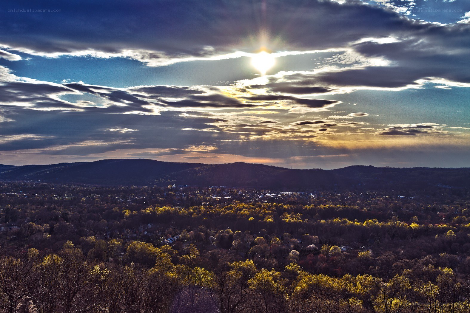 Sunset over a forested valley