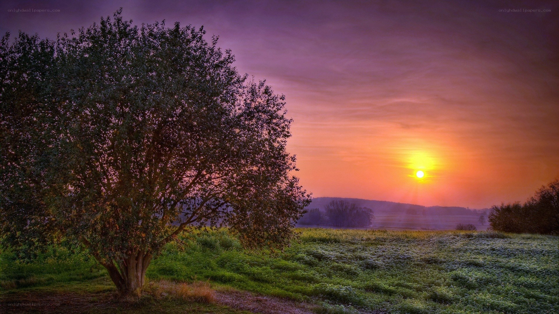 Sunset over a frosty field