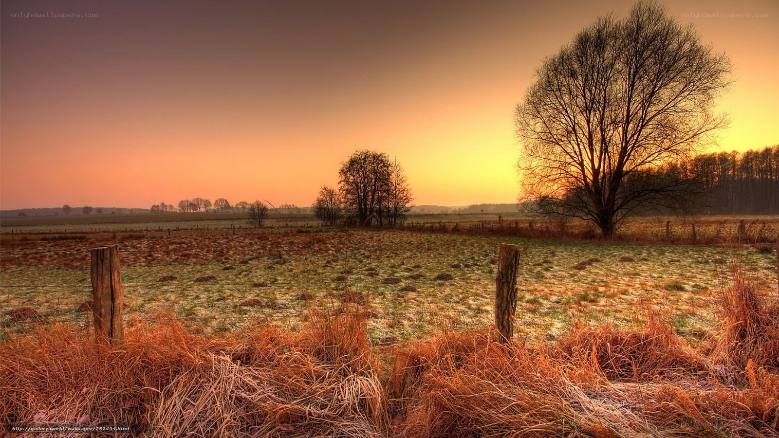 Sunset over a frosty field