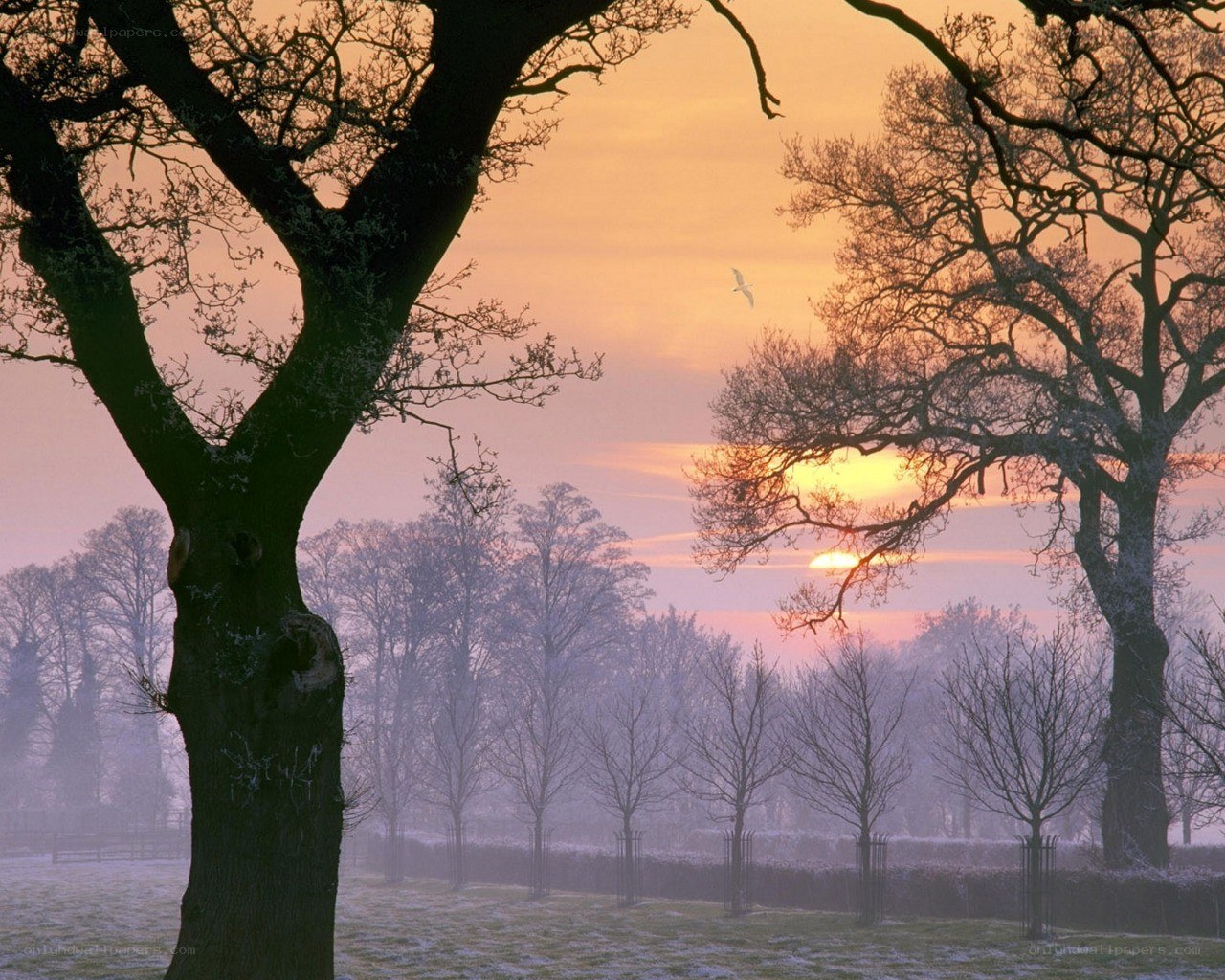 Sunset over a frosty park