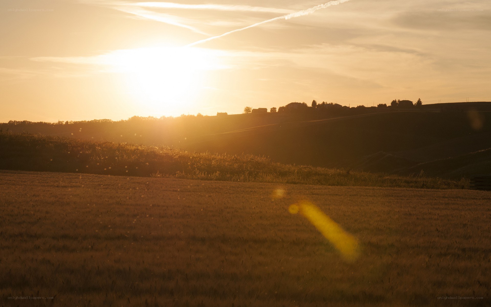 Sunset over a golden field
