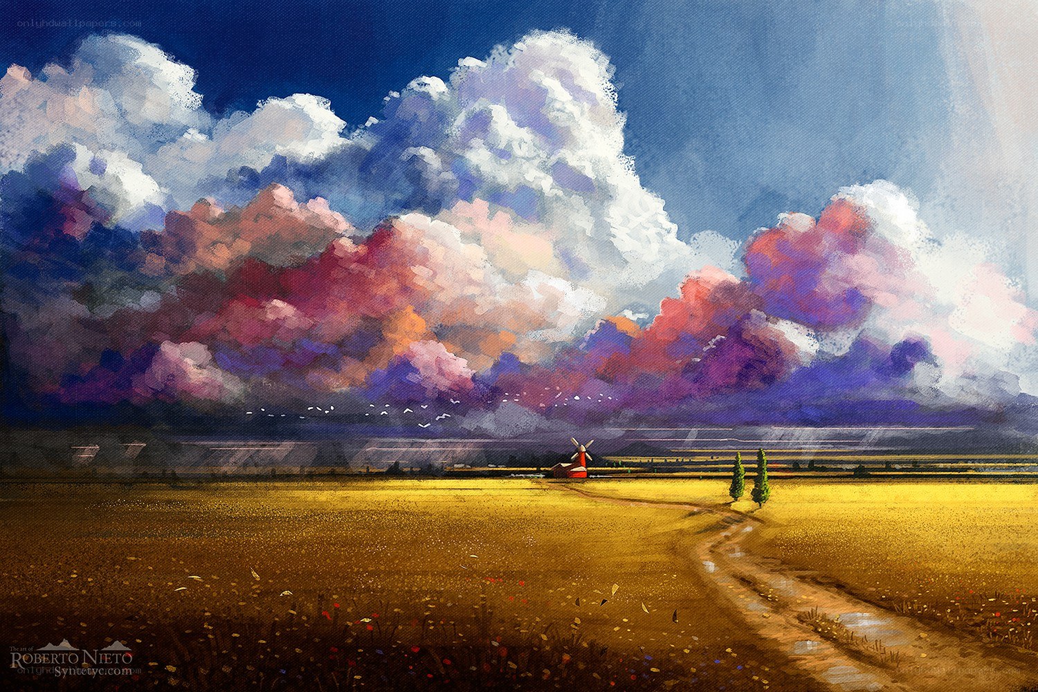 Sunset over a golden field