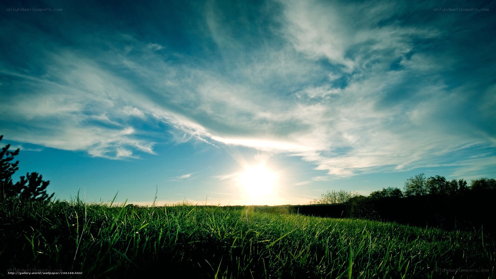 Sunset over a grassy field