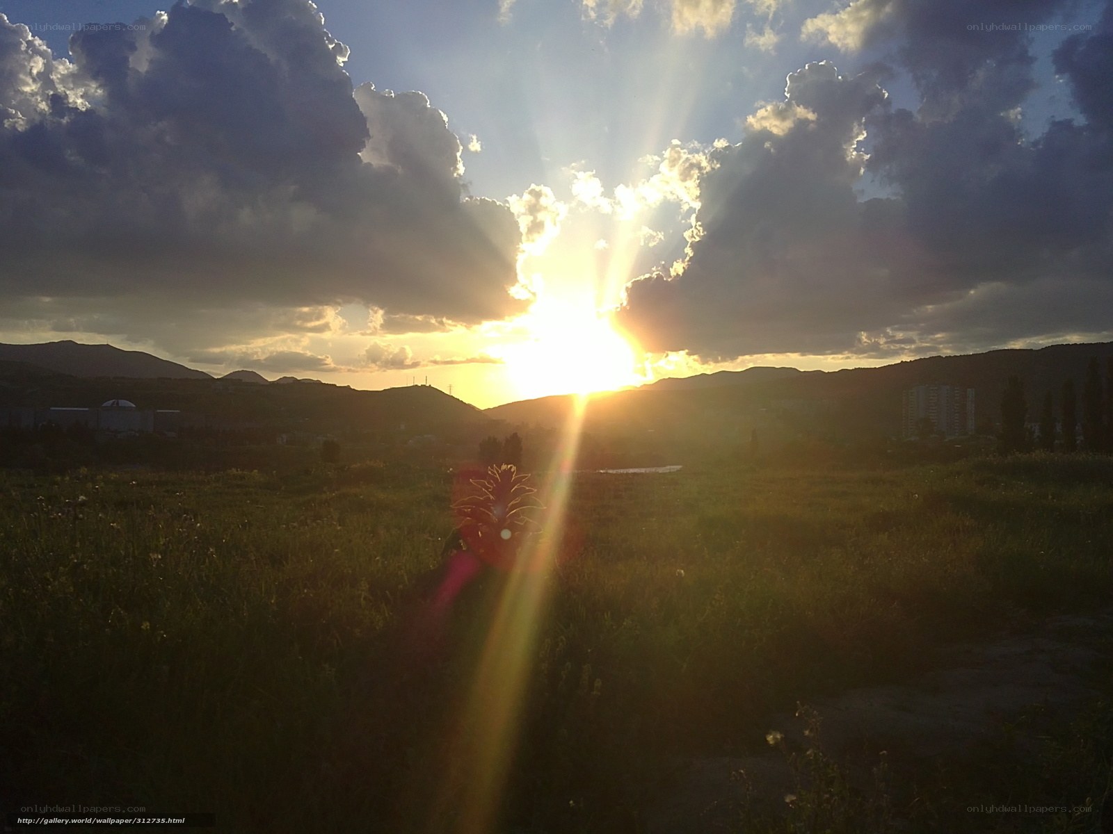 Sunset over a grassy field