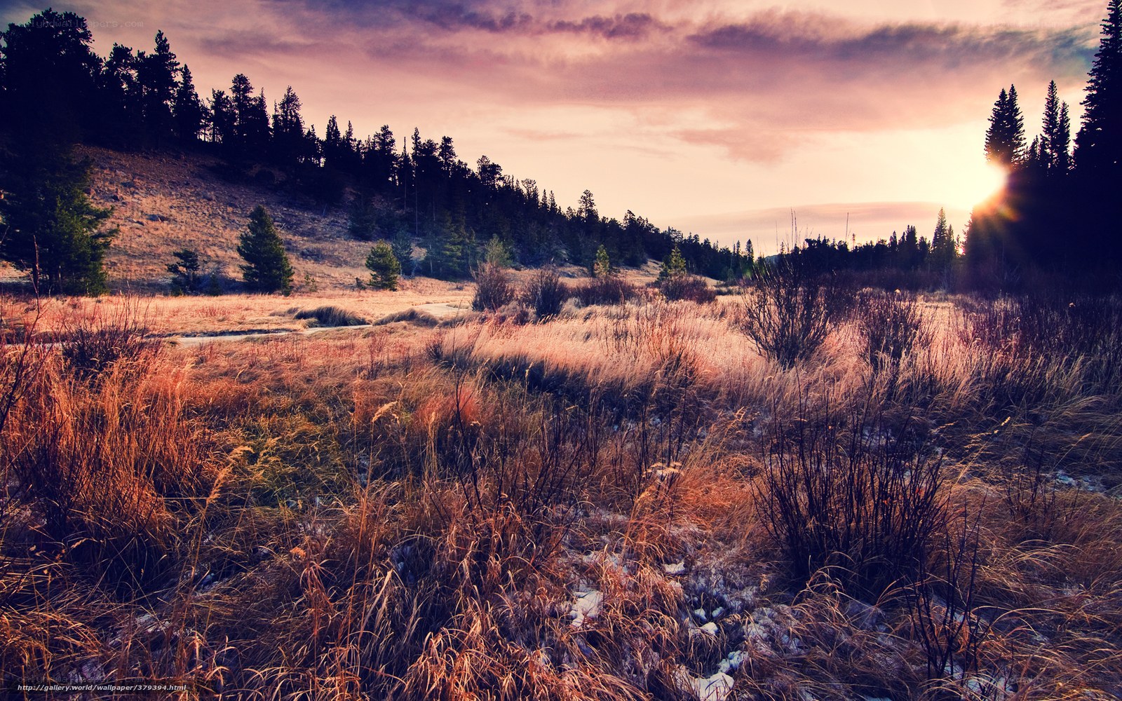 Sunset over a grassy field