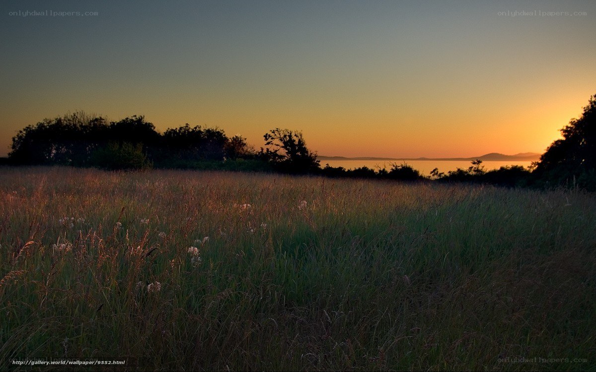 Sunset over a grassy field