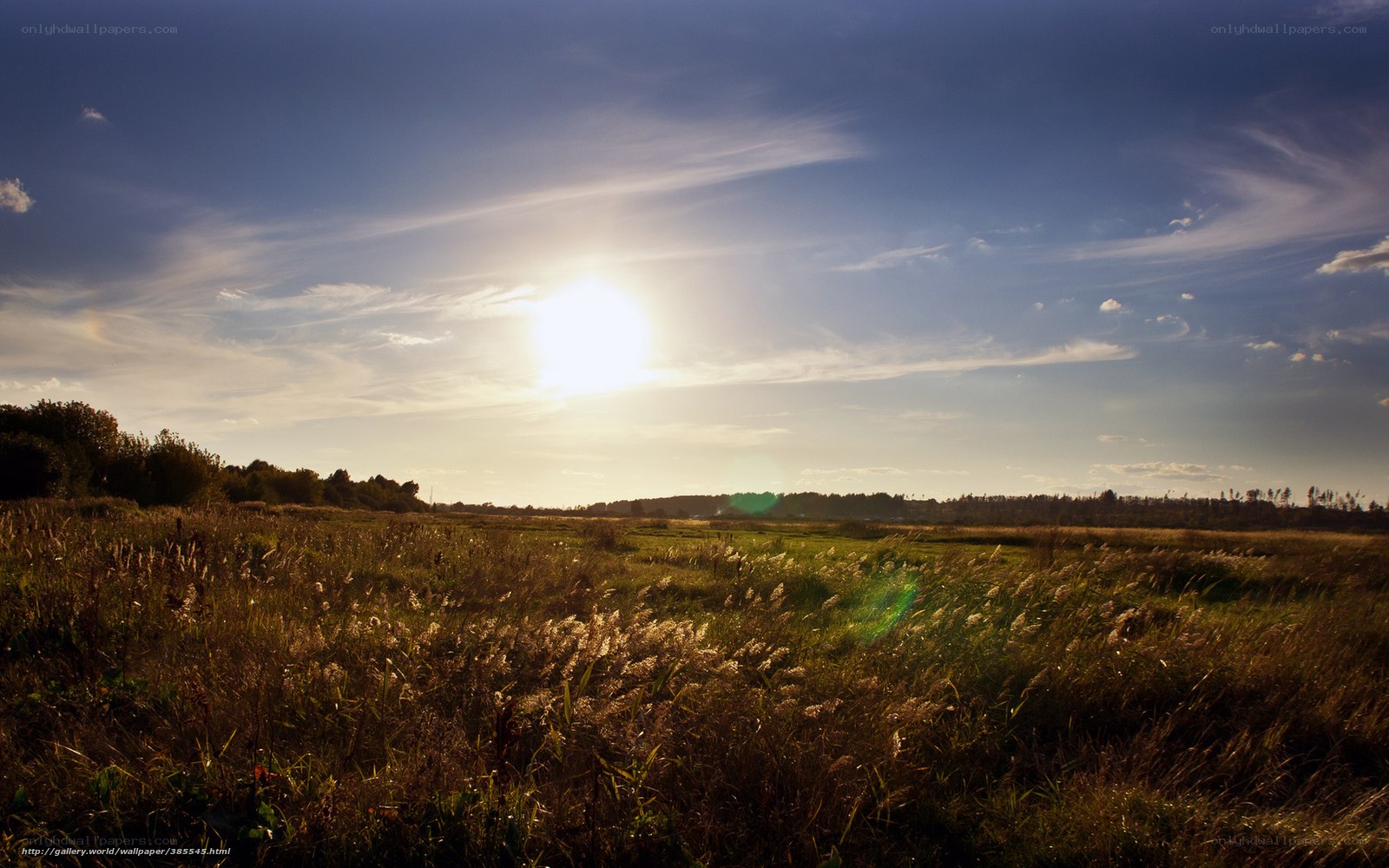 Sunset over a grassy field