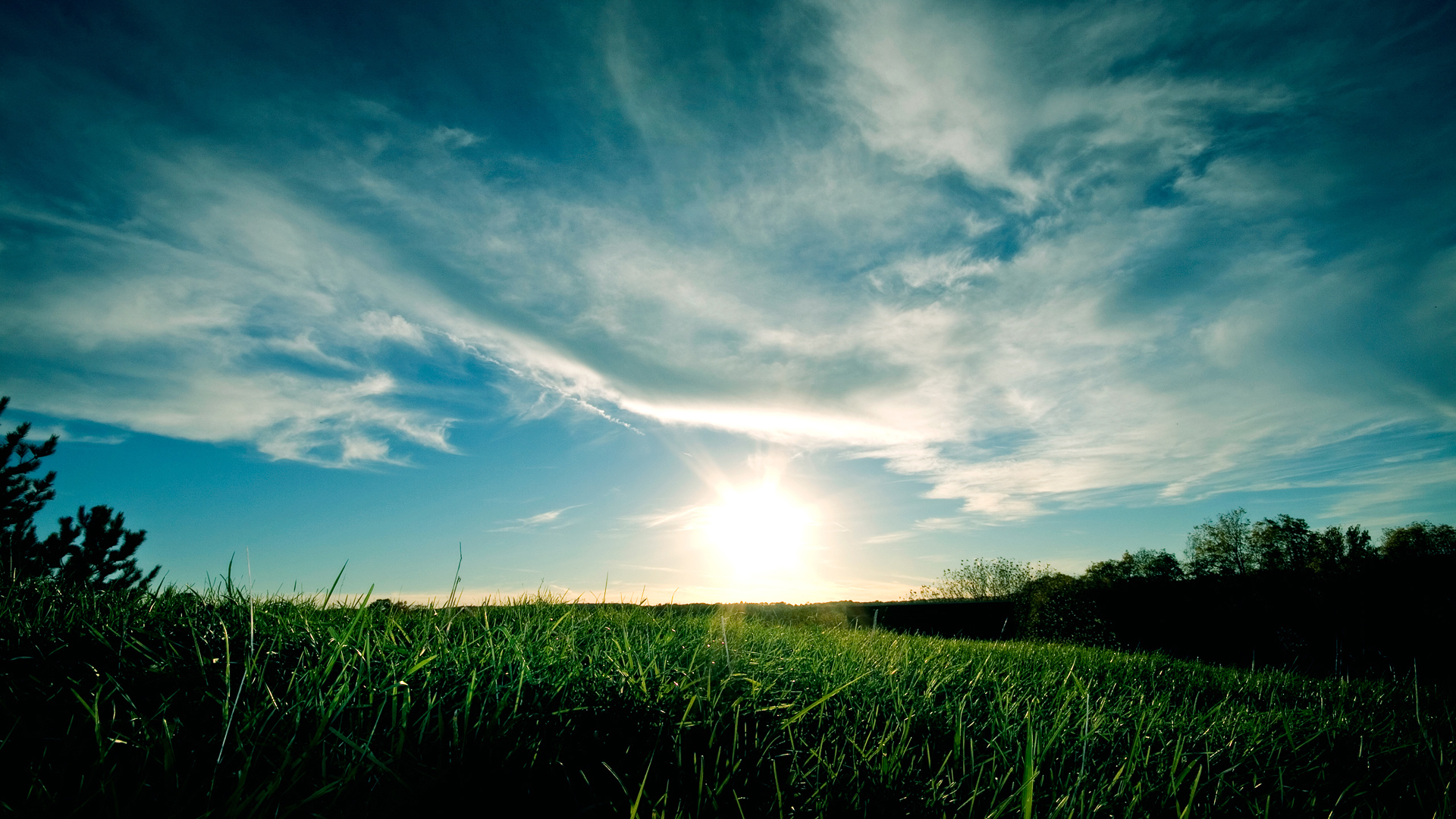 Sunset over a grassy field