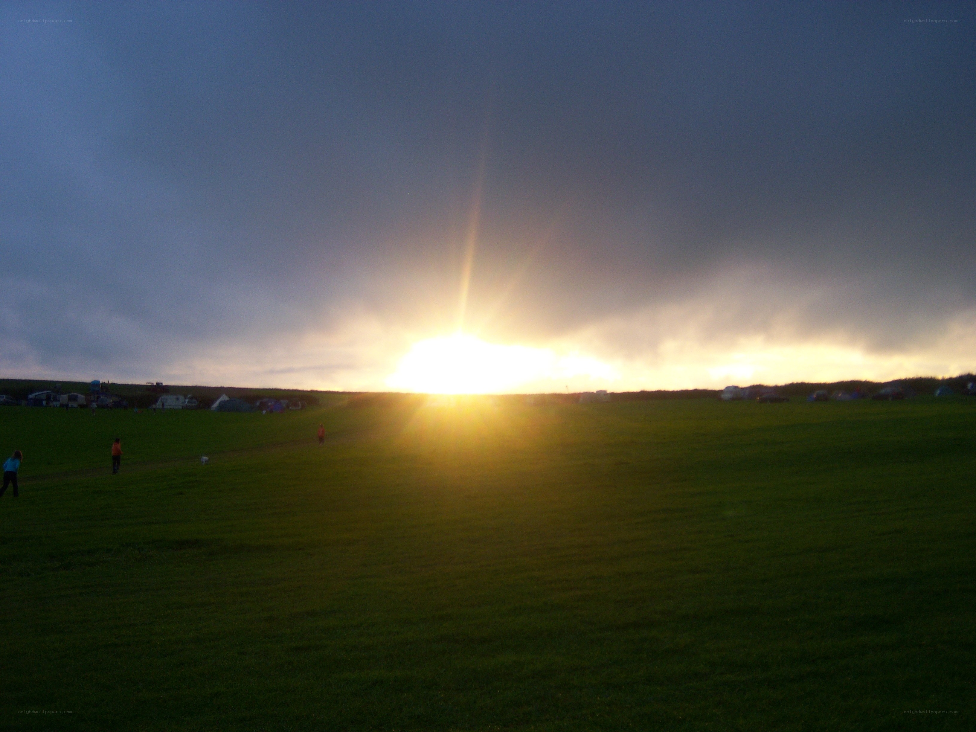 Sunset over a grassy field