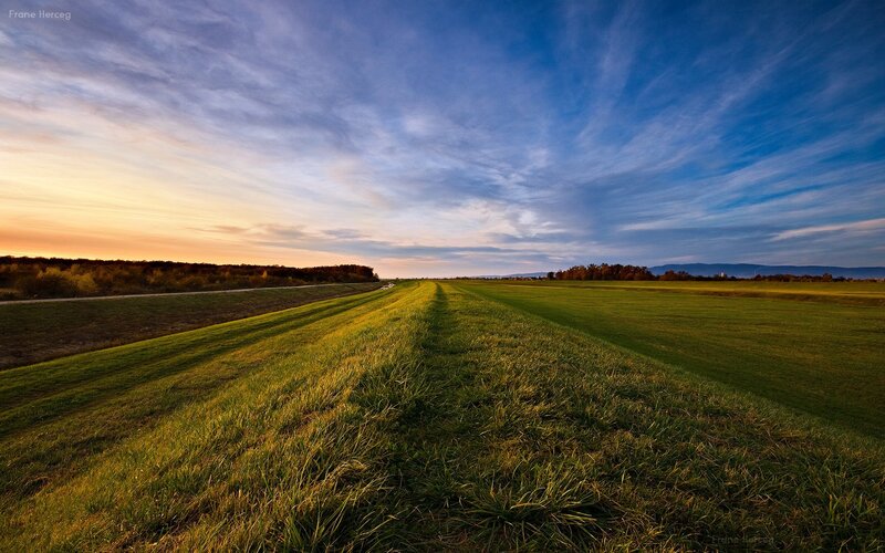 Sunset over a grassy field