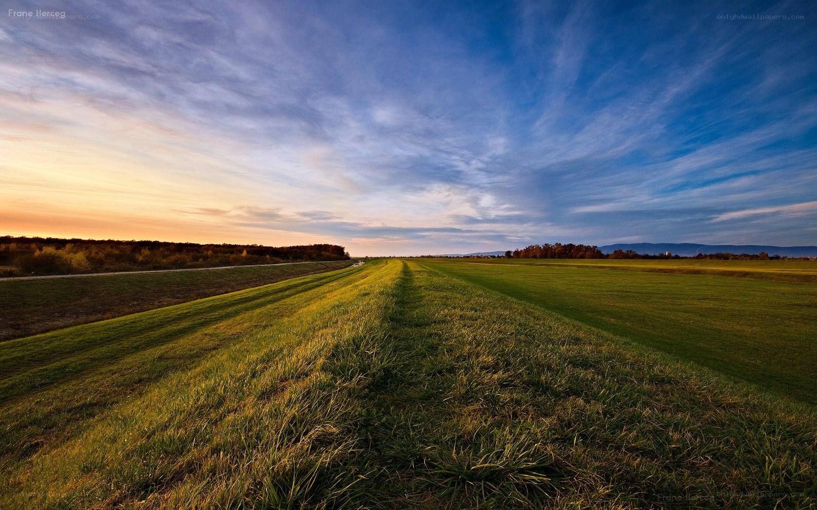 Sunset over a grassy field