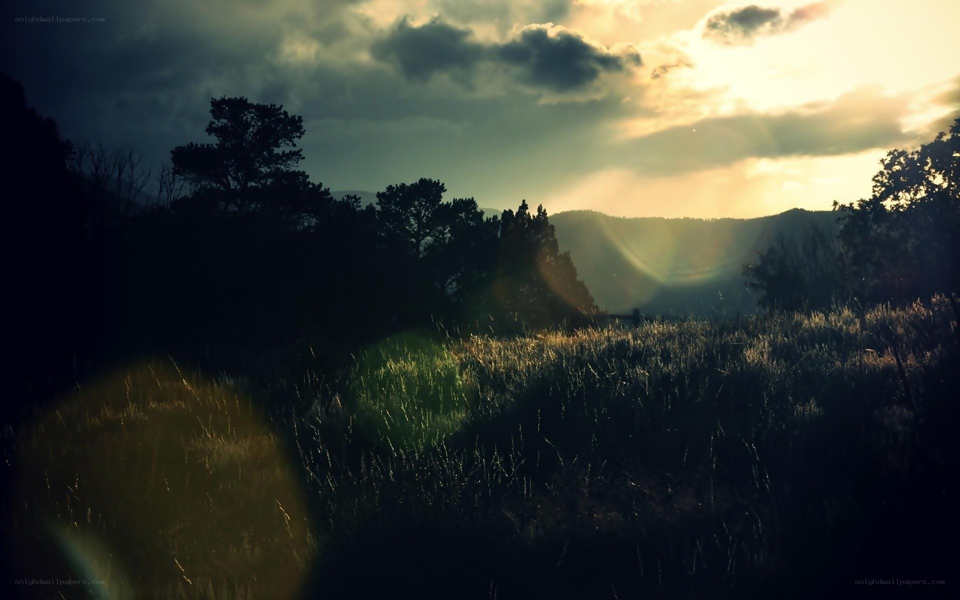 Sunset over a grassy field