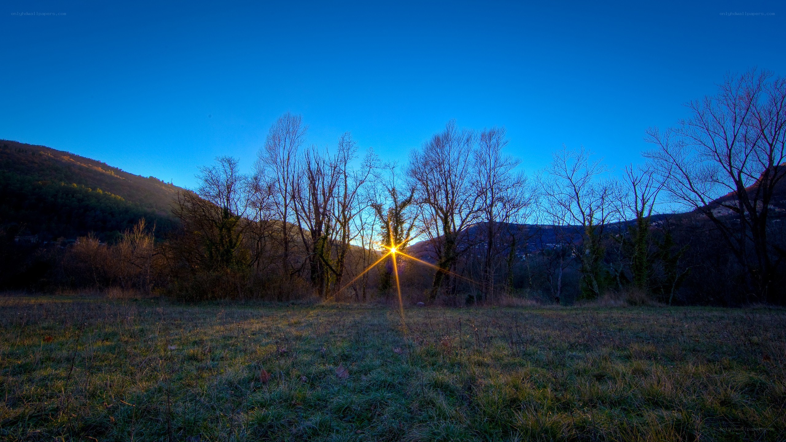 Sunset over a grassy field