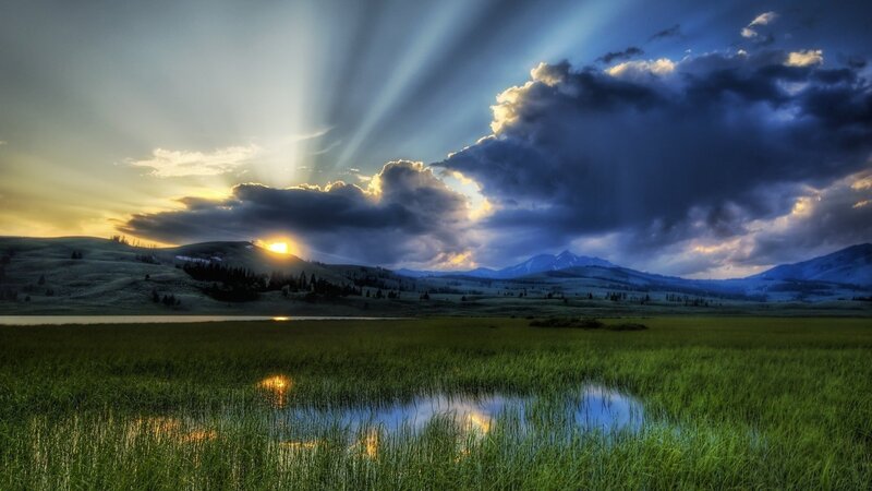 Sunset over a grassy field