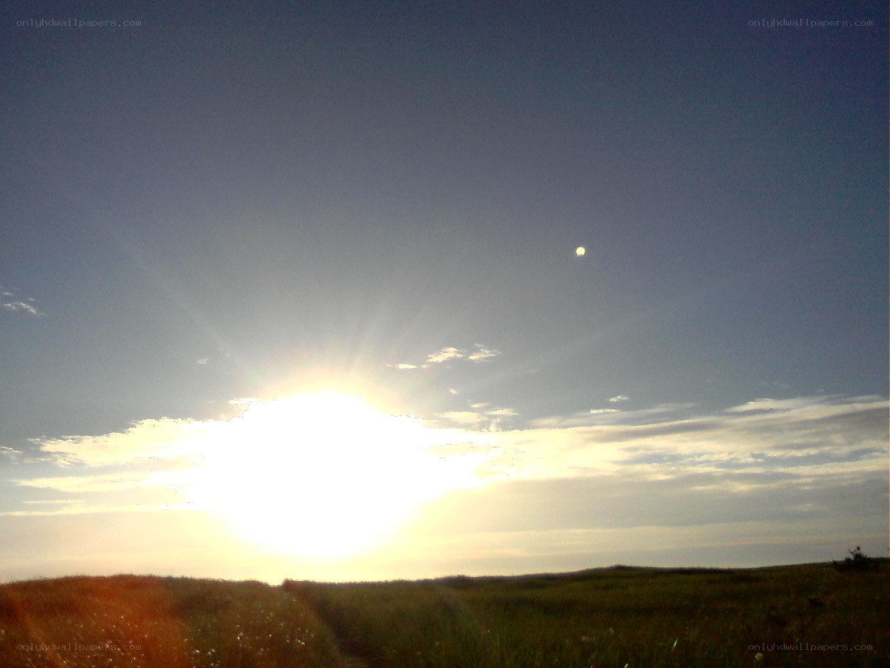 Sunset over a grassy field