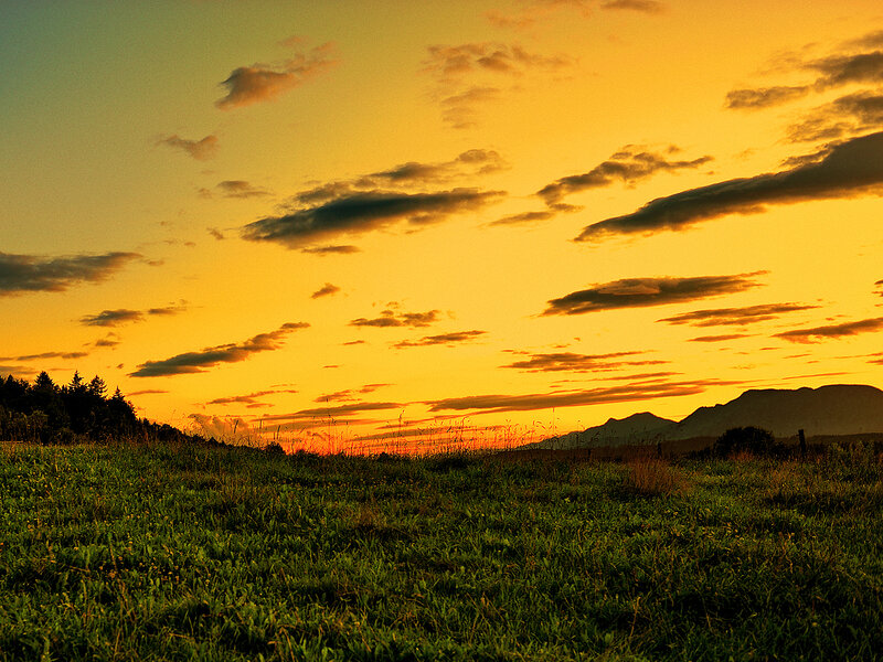 Sunset over a grassy field