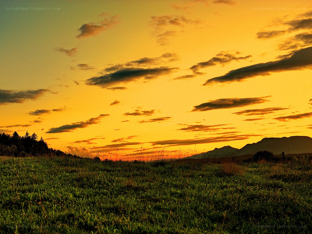 Sunset over a grassy field