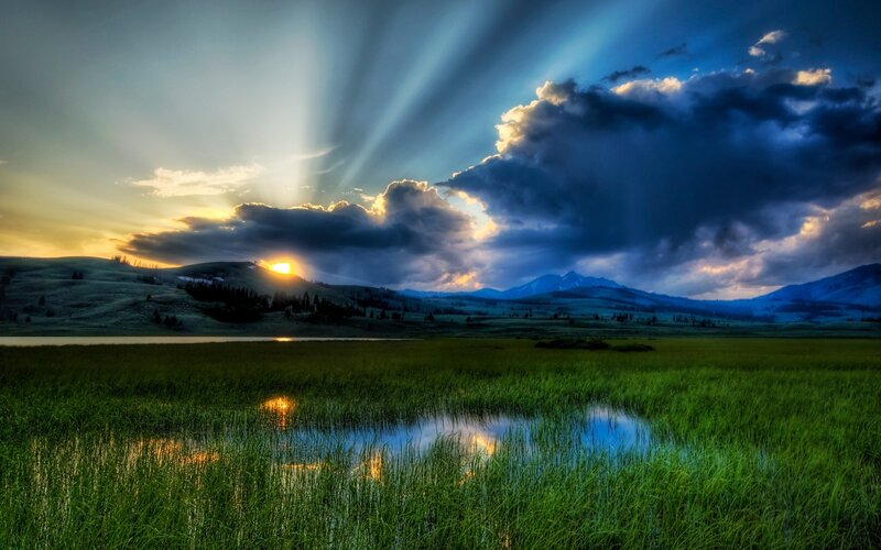 Sunset over a grassy field