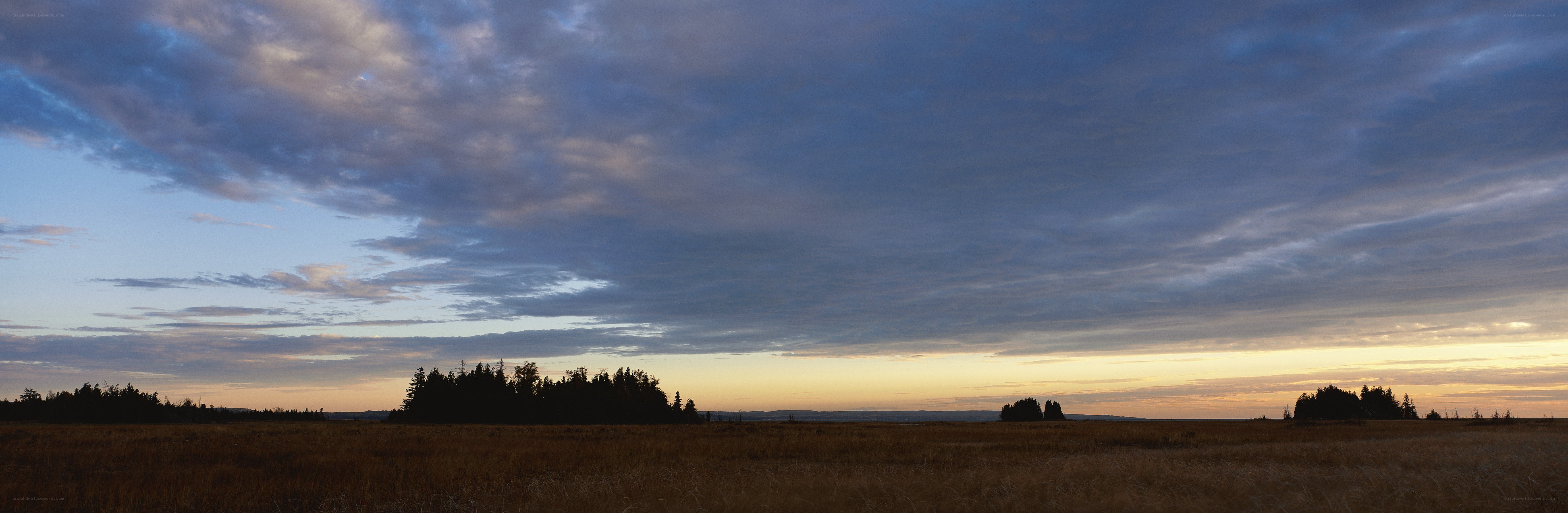 Sunset over a grassy field