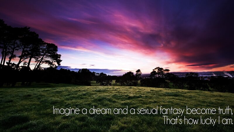 sunset over a grassy field