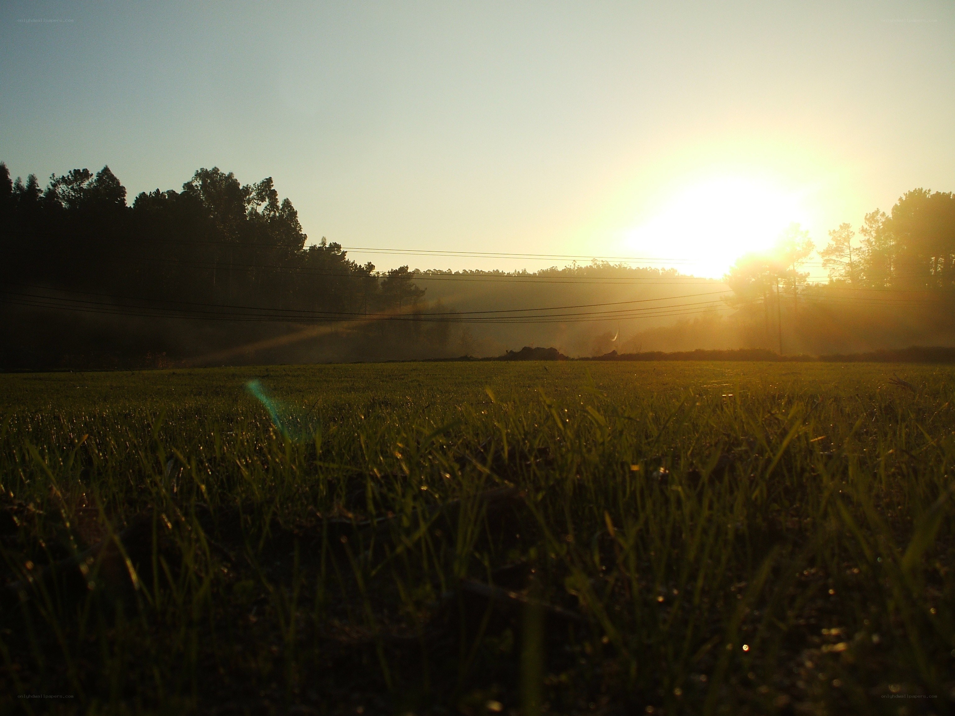Sunset over a grassy field