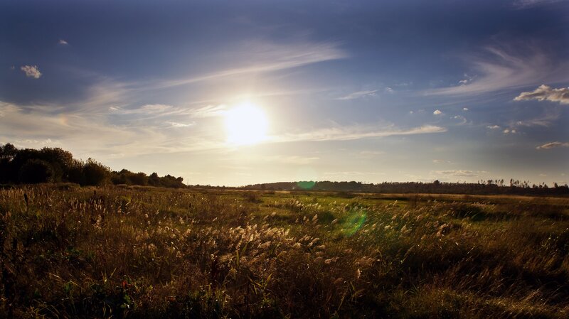 Sunset over a grassy field