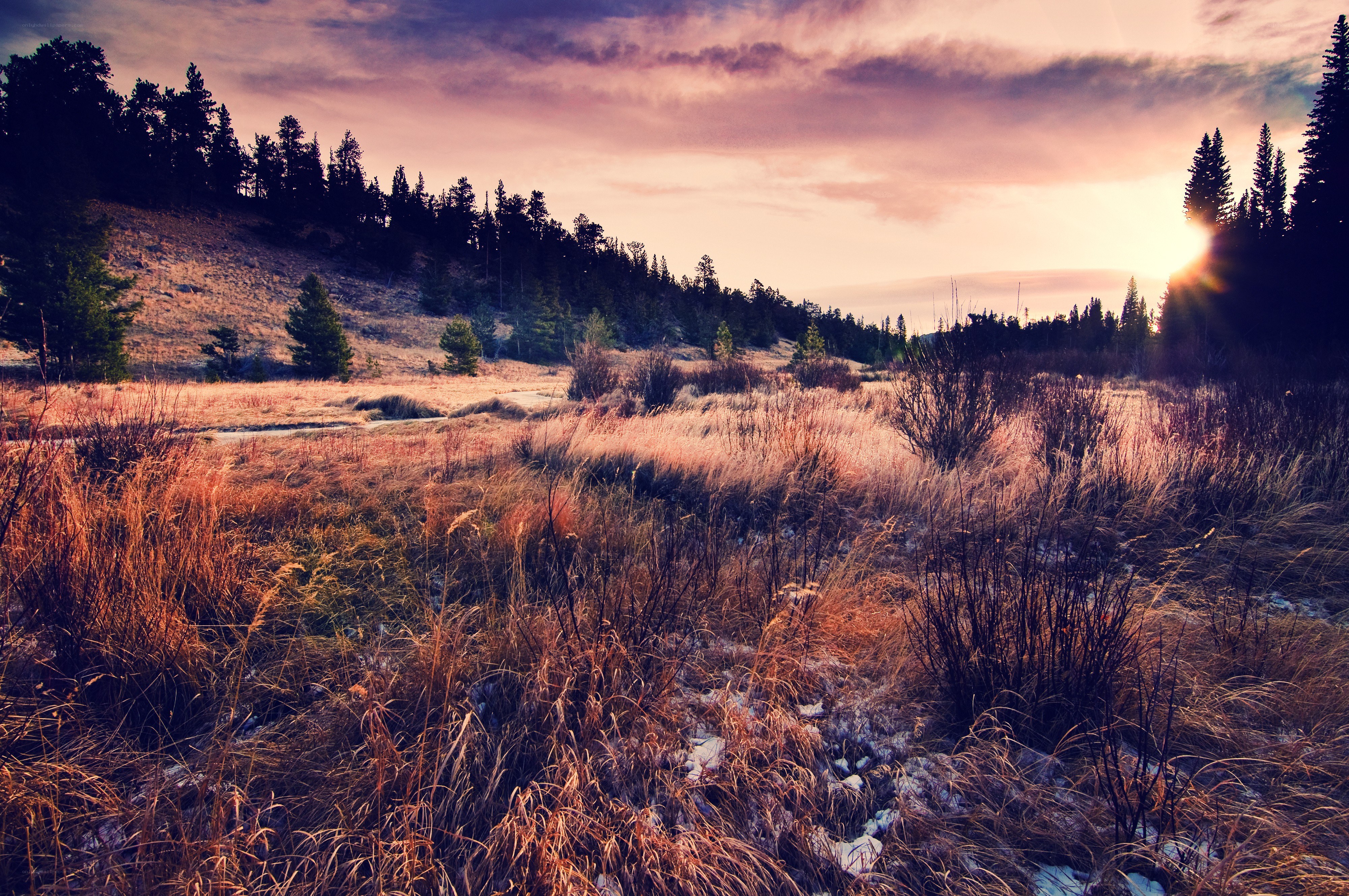 Sunset over a grassy field