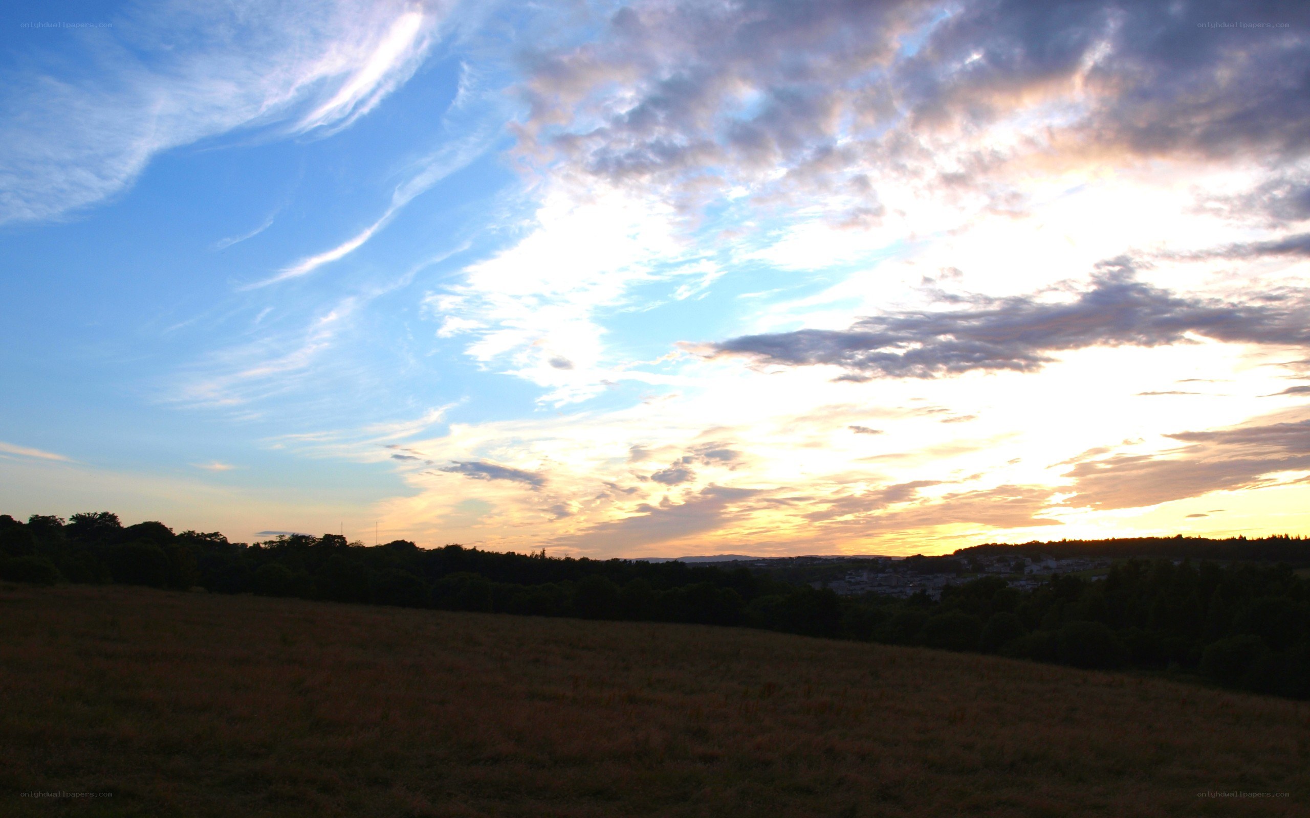 Sunset over a grassy field