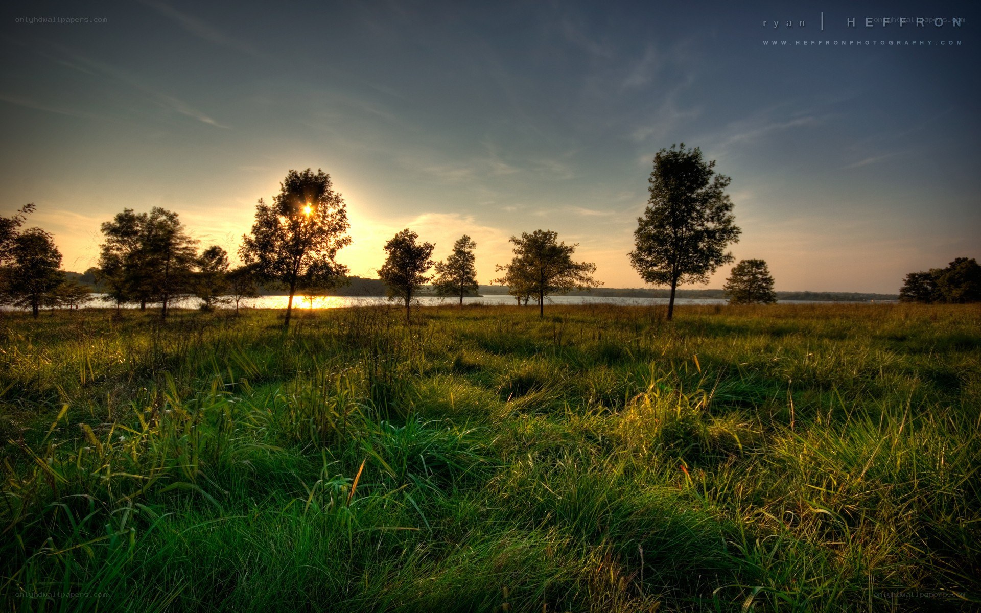 Sunset over a grassy field