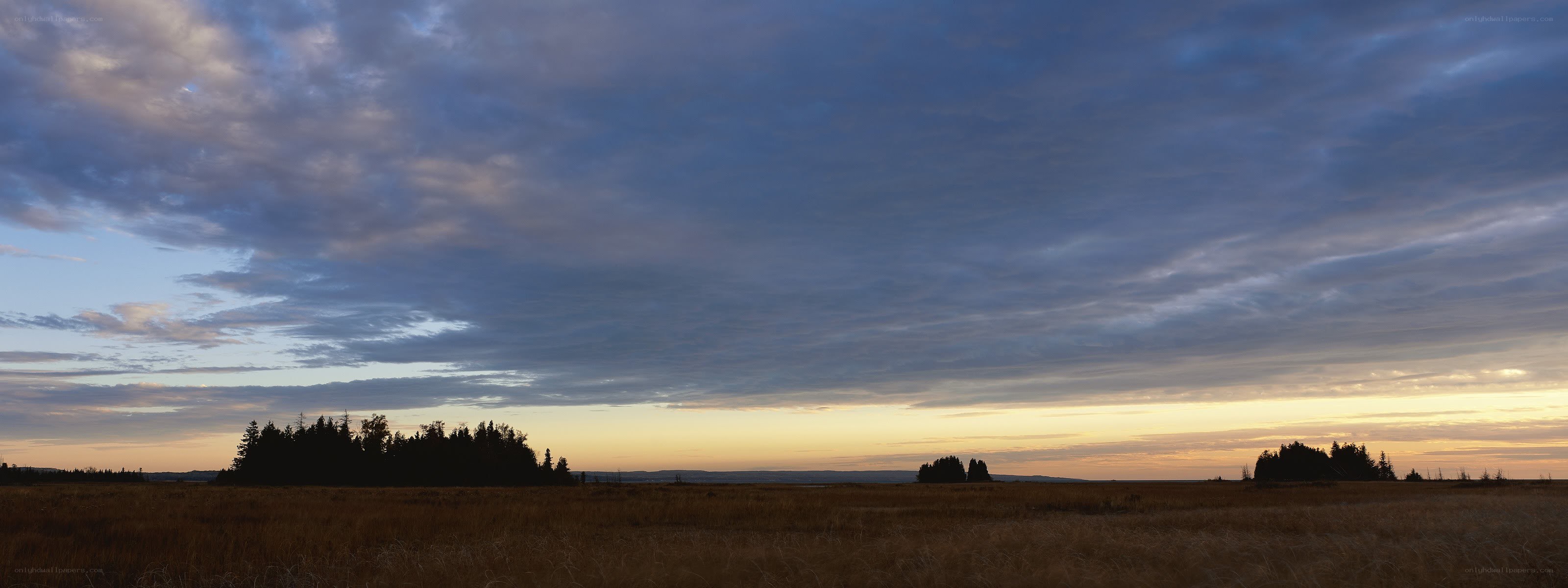 Sunset over a grassy field