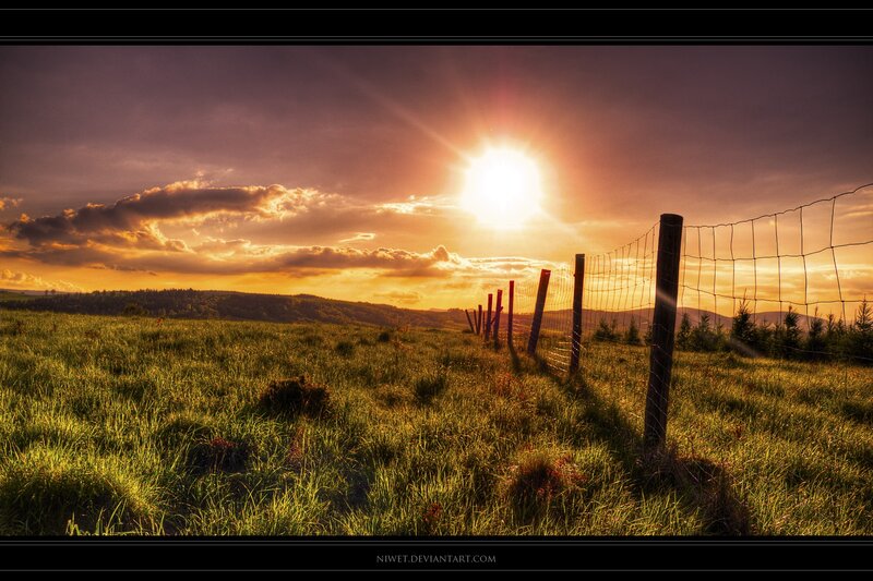 Sunset over a grassy field
