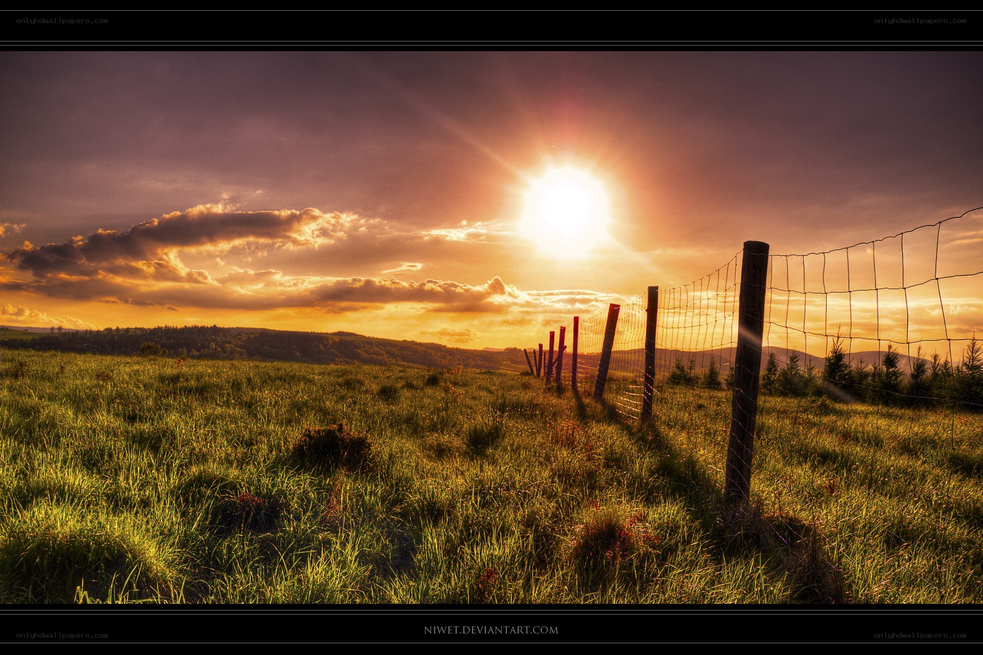 Sunset over a grassy field