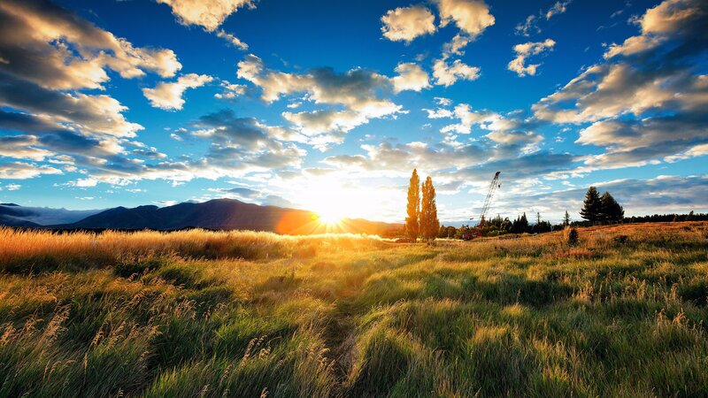 Sunset over a grassy field