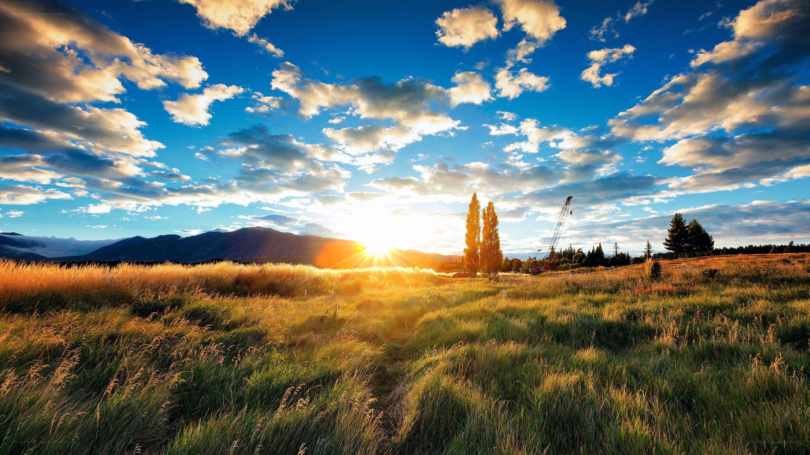 Sunset over a grassy field