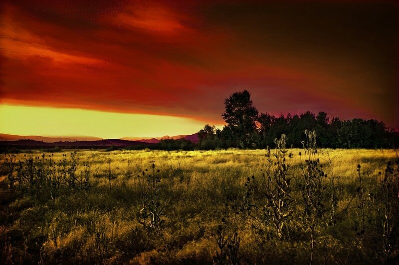 Sunset over a grassy field