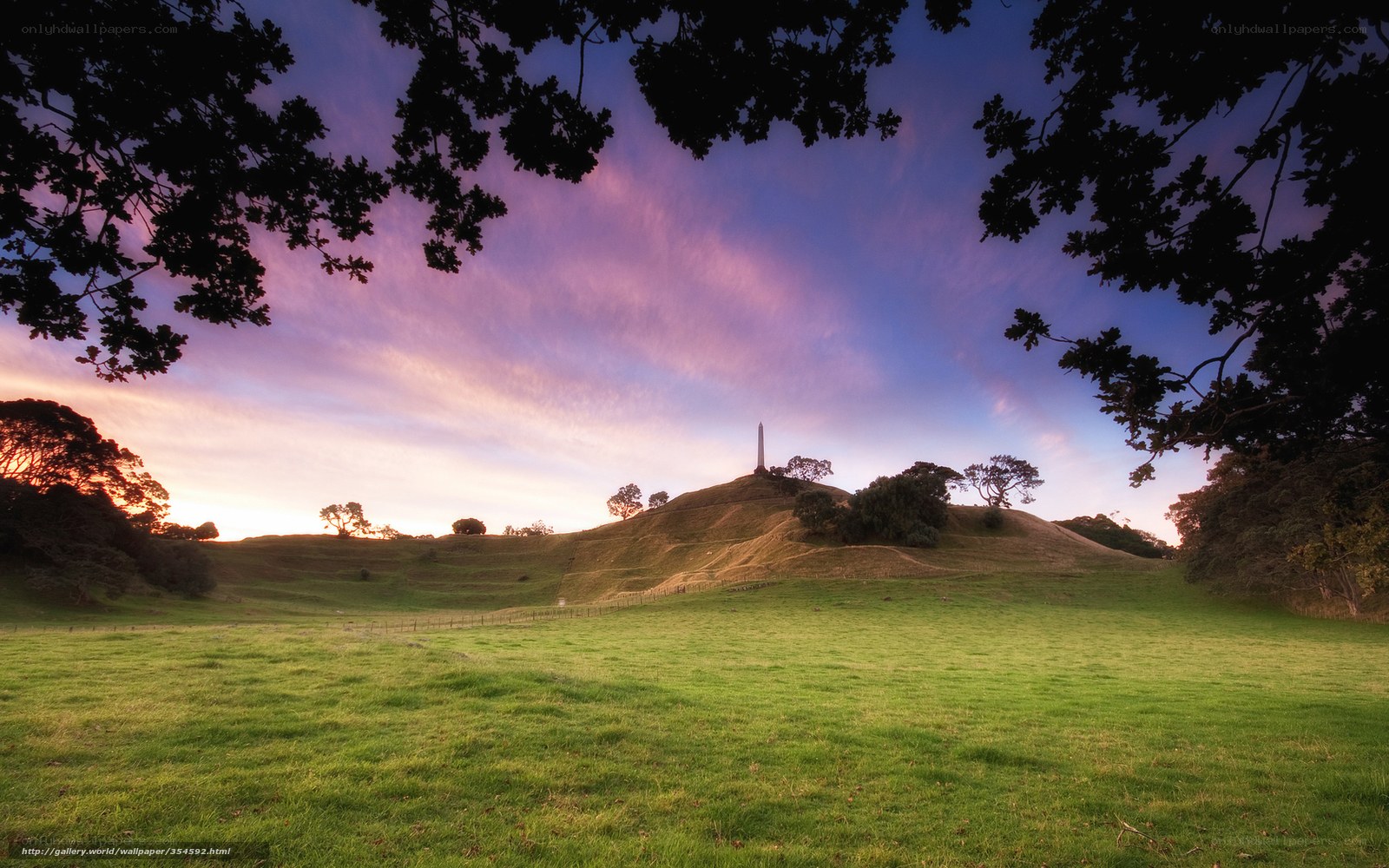 Sunset over a grassy hill