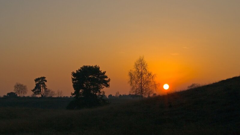 Sunset over a grassy hill