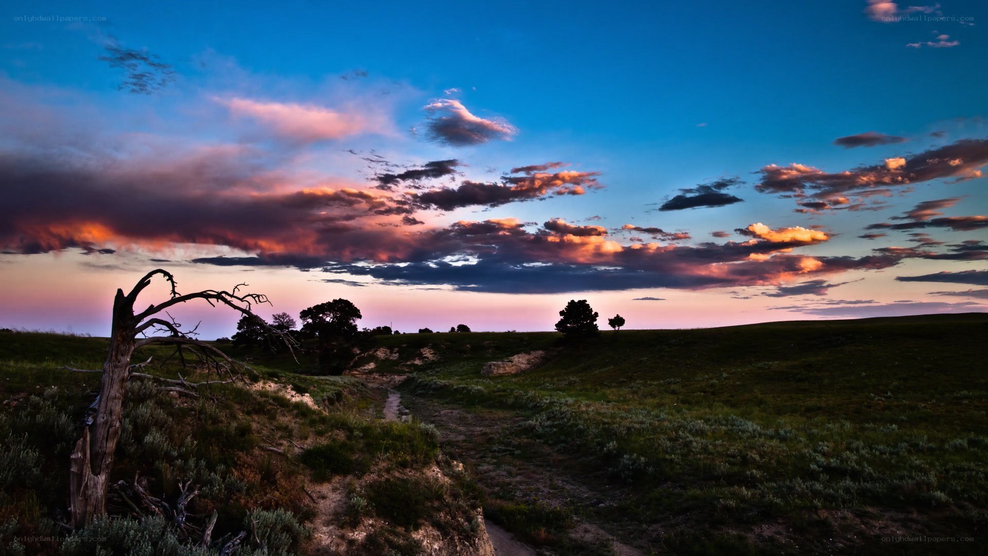 Sunset over a grassy hill