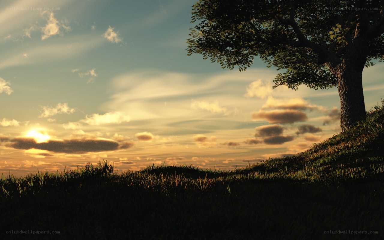 sunset over a grassy hill