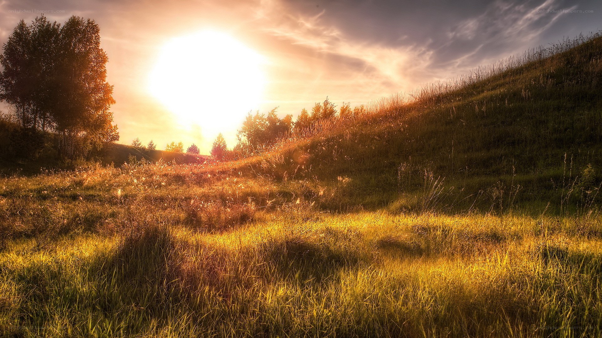 Sunset over a grassy hill