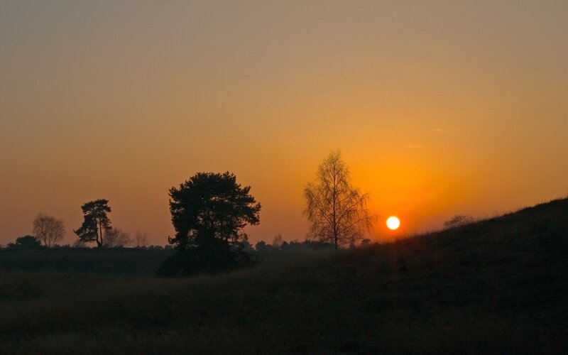 Sunset over a grassy hill