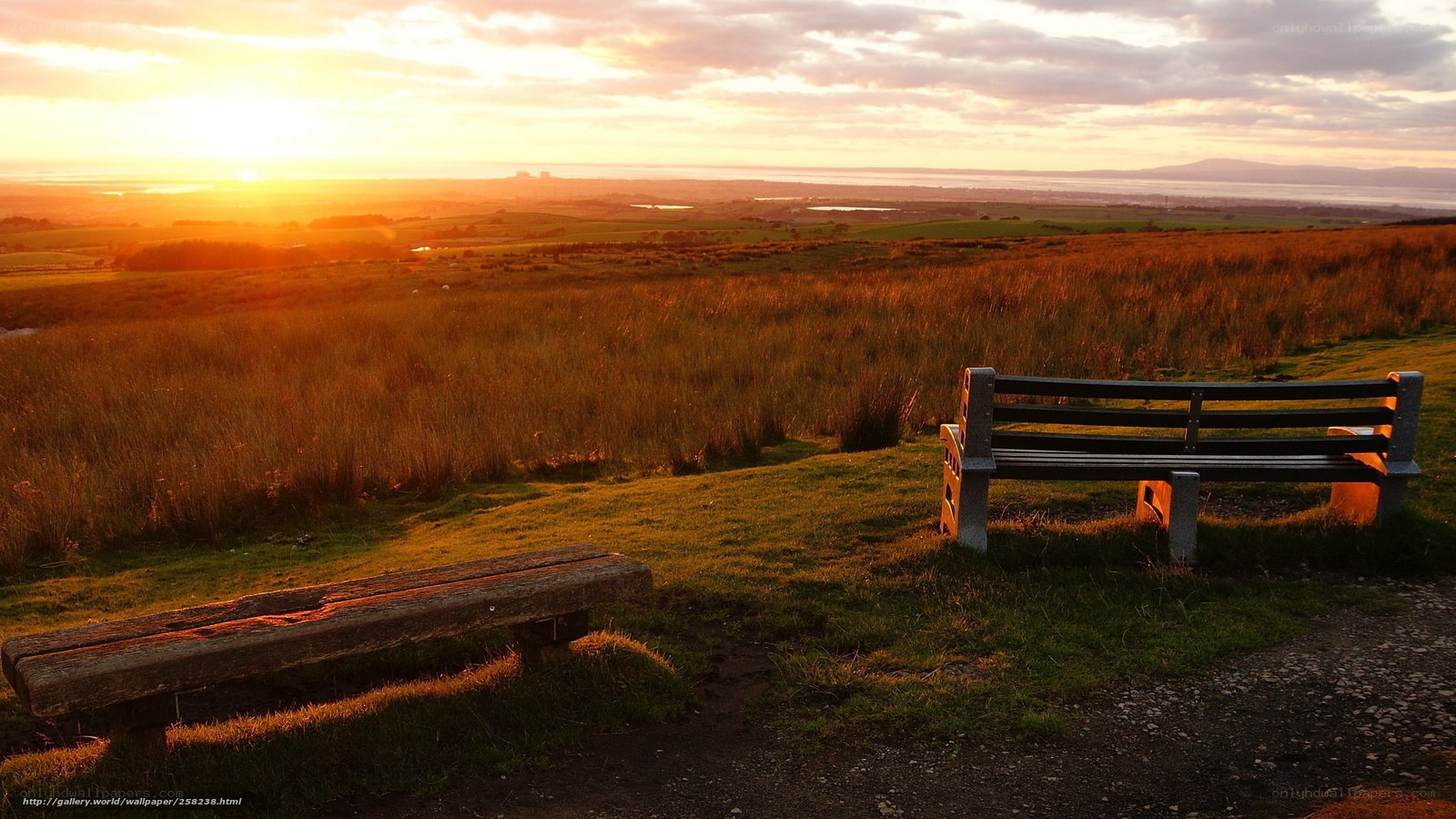 Sunset over a grassy hill