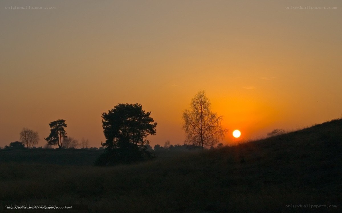 Sunset over a grassy hill